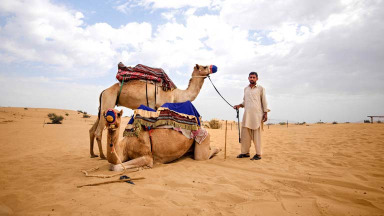 Dubai: Kum Sörfü ve Deve Gezintisi ile Sabah Çöl Safarisi